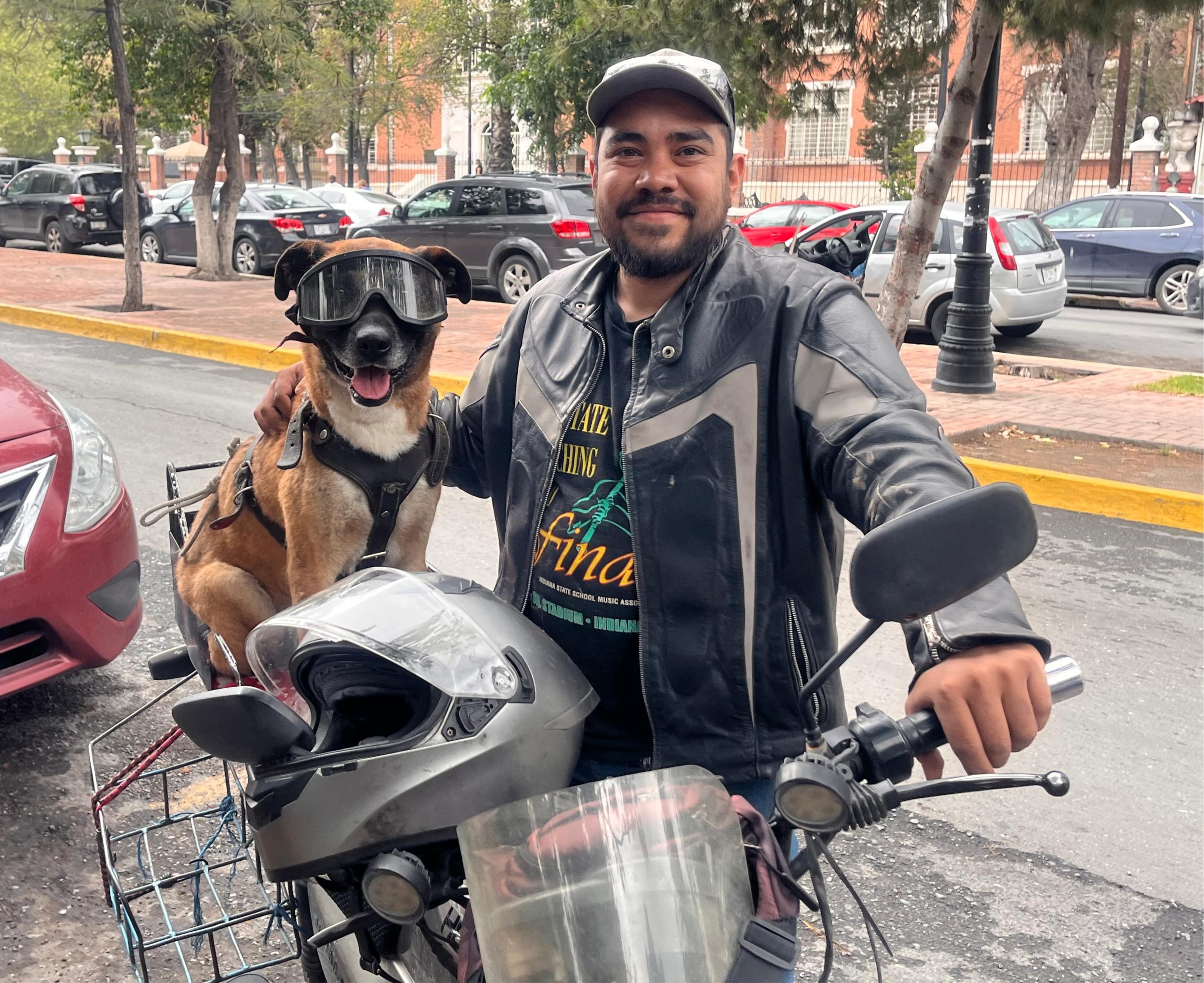 José Napoleón: el perro biker que viaja por México