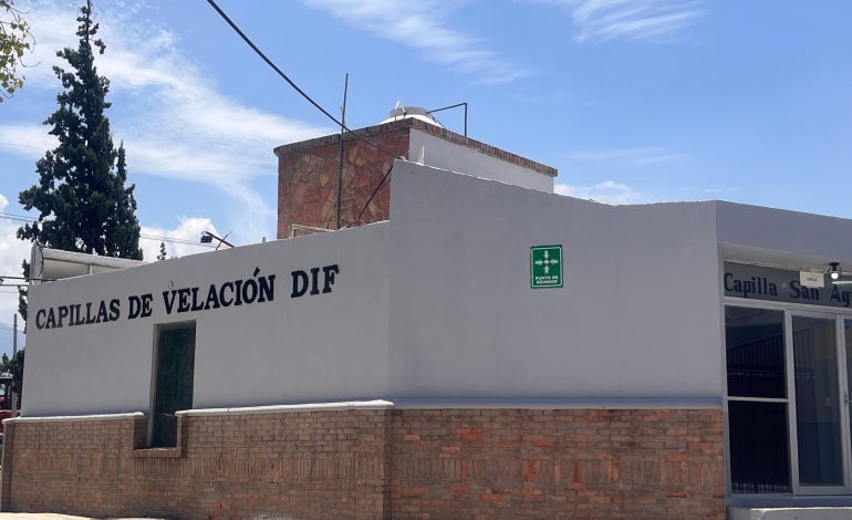 Fallece niño por rickettsiosis