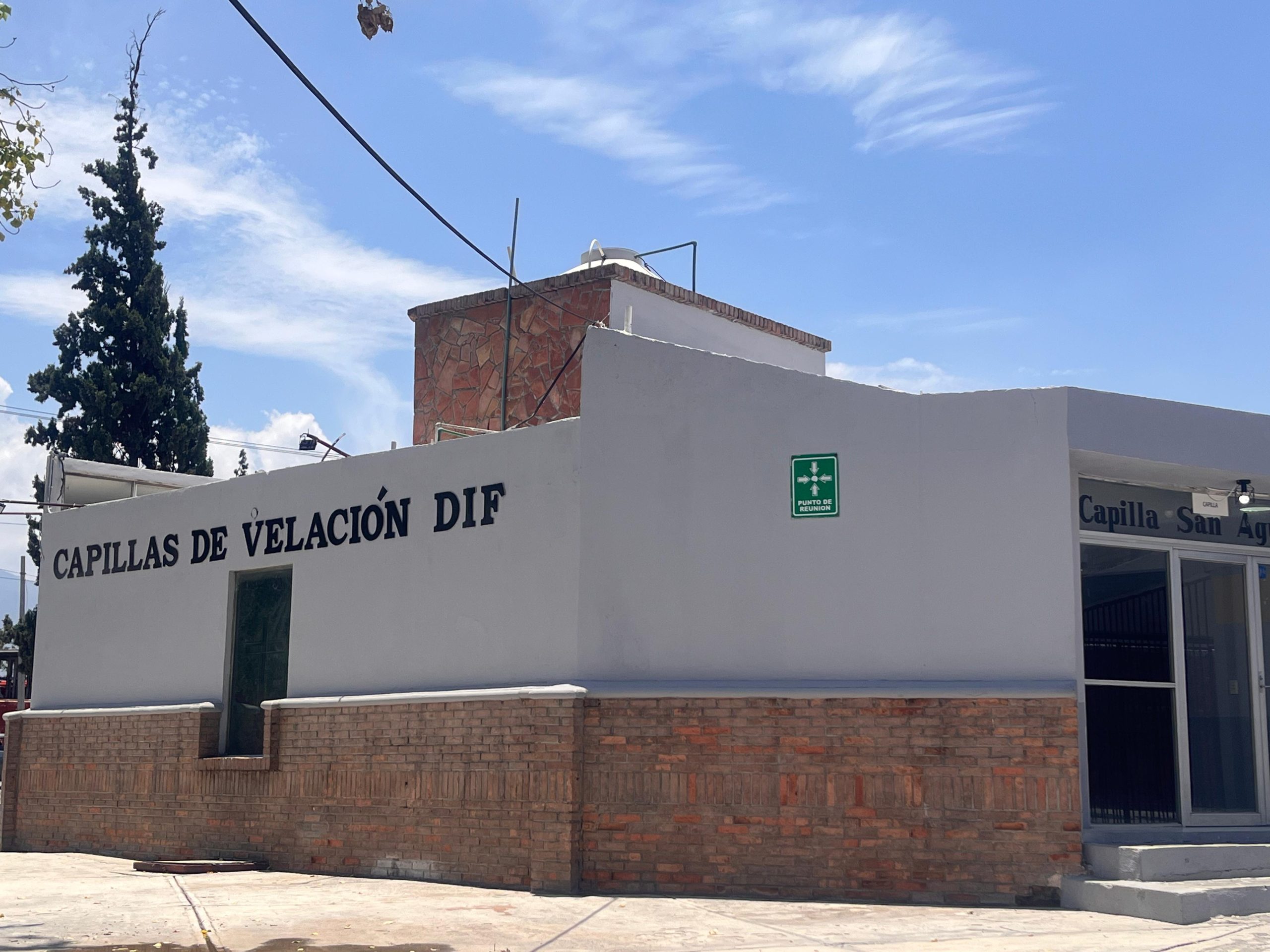 Fallece niño por rickettsiosis