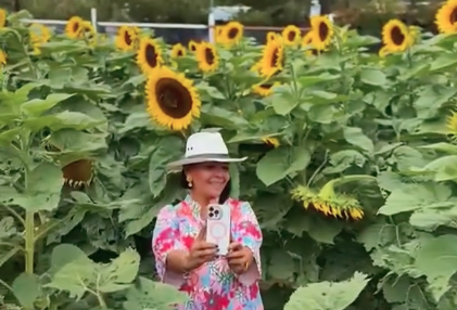 Huertas JDF: La magia de los girasoles en su máximo esplendor