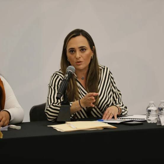 Van por regulación de recicladoras en Saltillo