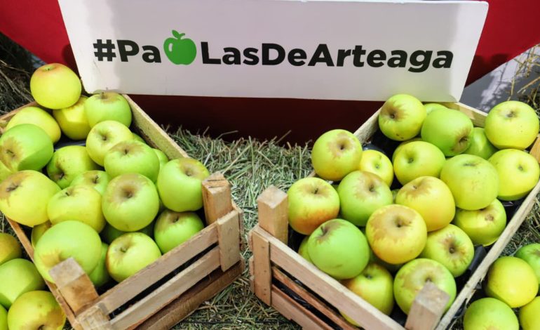 Cae 50% cosecha de manzana en Arteaga