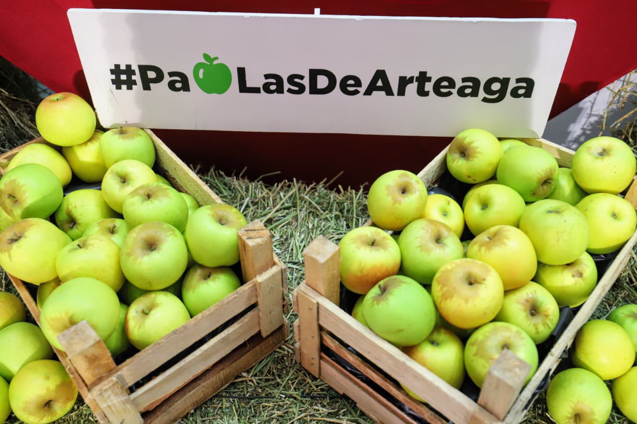 Cae 50% cosecha de manzana en Arteaga