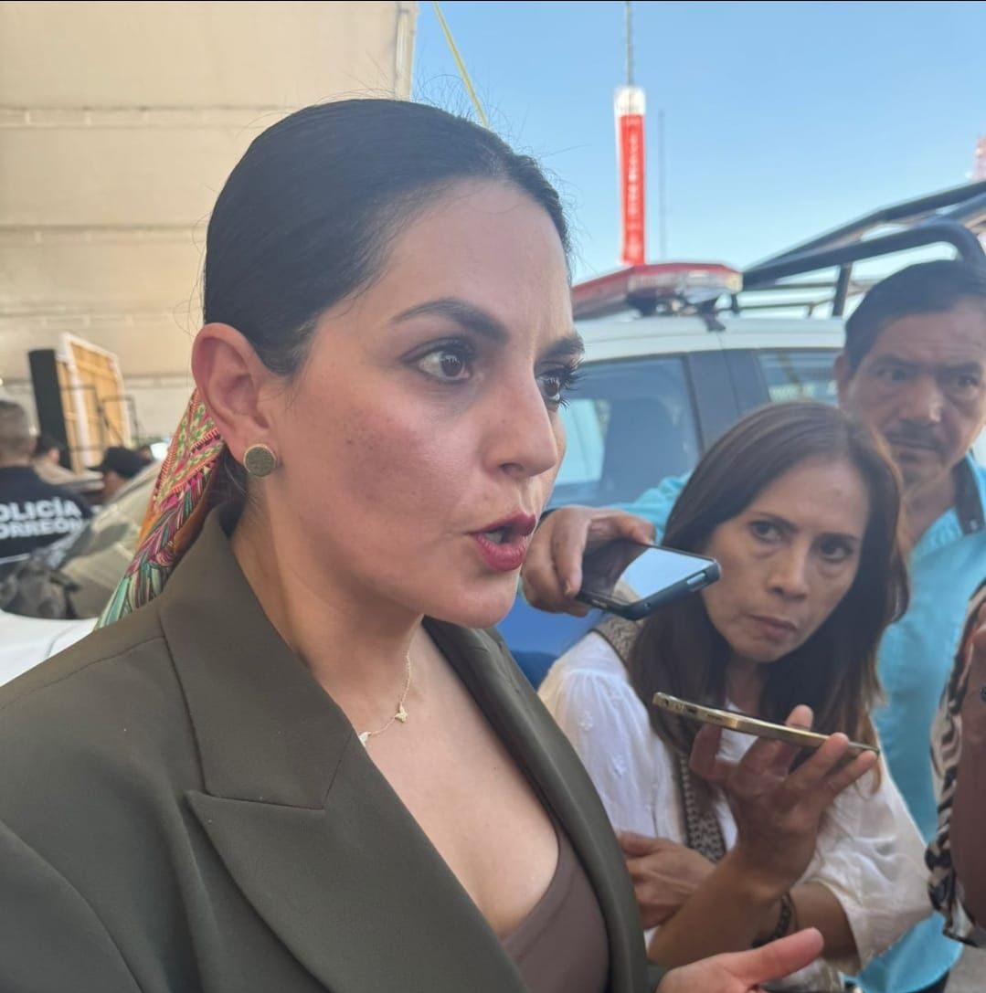 Regulación laboral es federal: Luz Elena