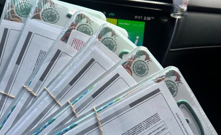 Detectan placas falsas de Durango