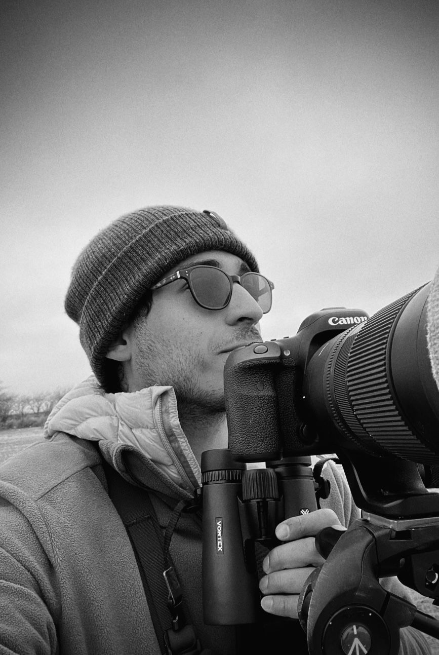 RETURN: Salvando a las Tortugas llega el 29 de enero