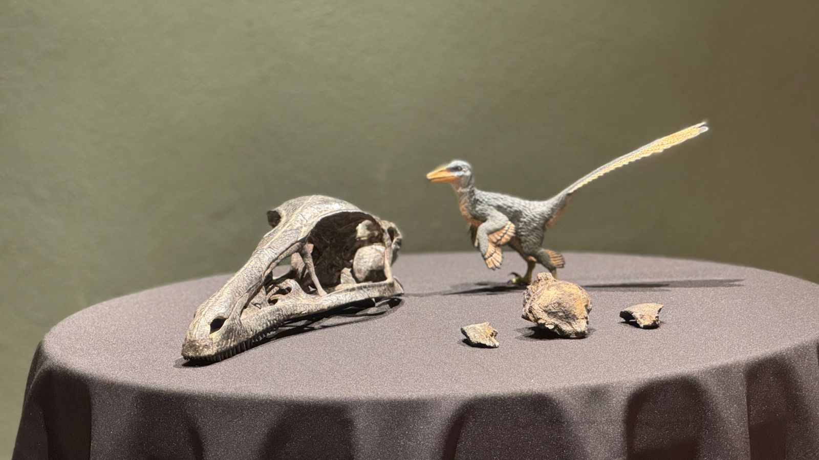 Descubren nuevo dinosaurio carnívoro en Coahuila