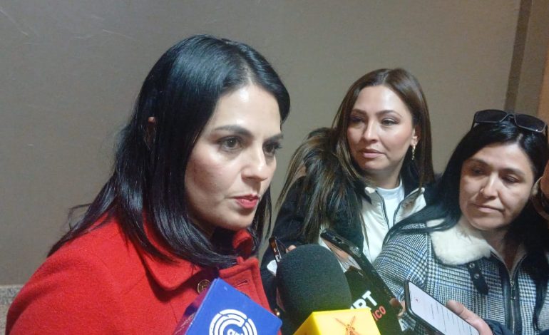 Revisará Congreso marco legal sobre violencia vicaria