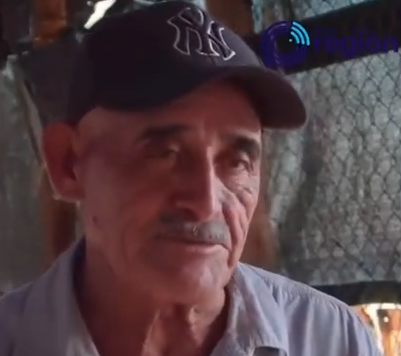 Salvando a las Tortugas