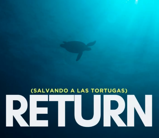 El documental “RETURN: Salvando a las Tortugas”