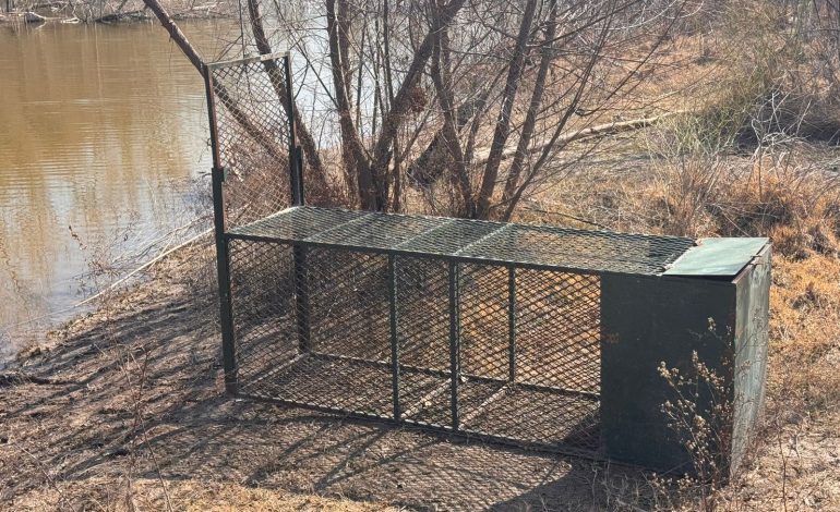 Sigue cerrada presa Palo Blanco por cocodrilos