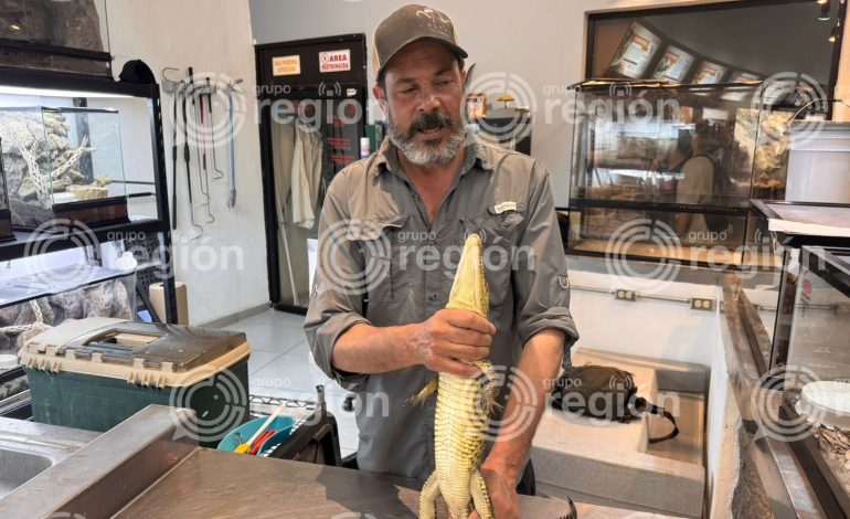 Reabren Palo Blanco; no hay segundo cocodrilo