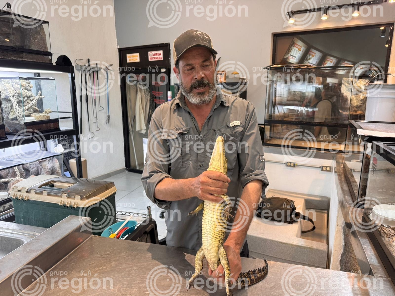 Reabren Palo Blanco; no hay segundo cocodrilo