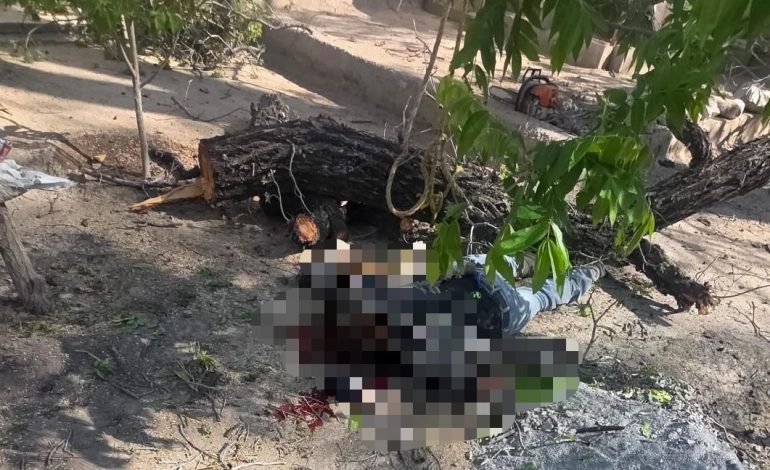 Tragedia en Parras: muere hombre al caer de nogal