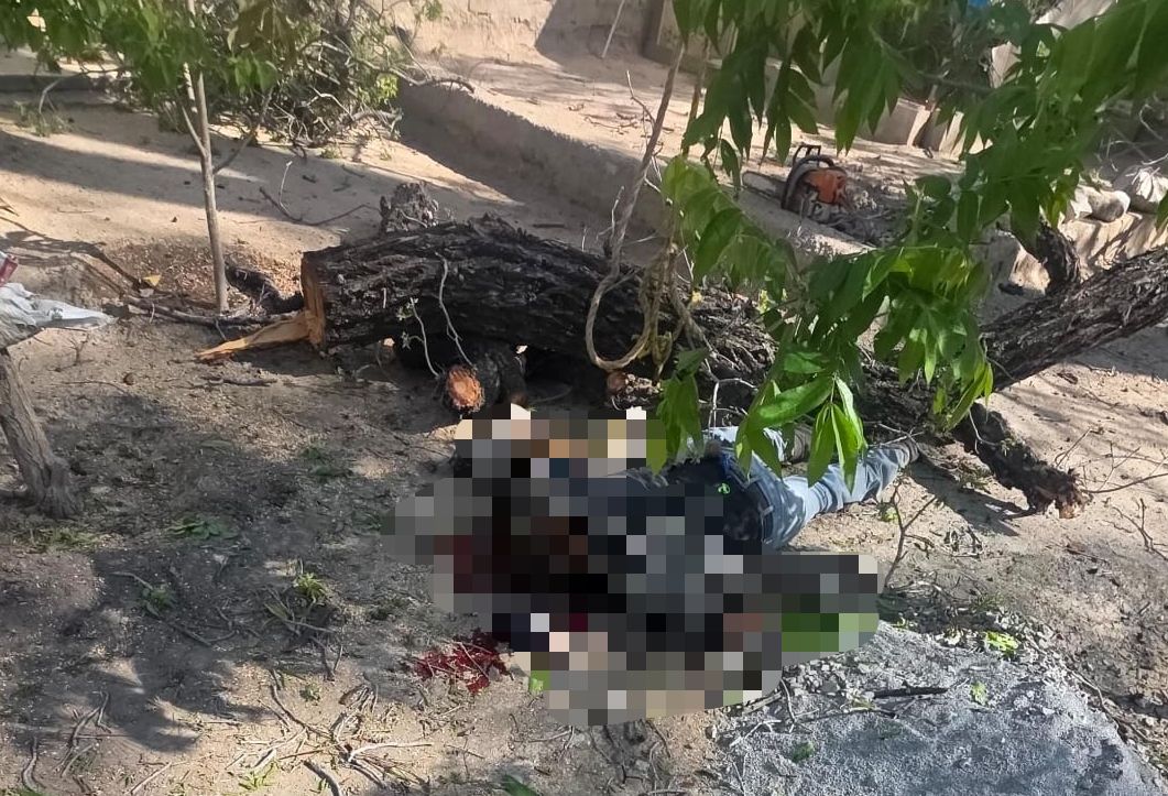 Tragedia en Parras: muere hombre al caer de nogal