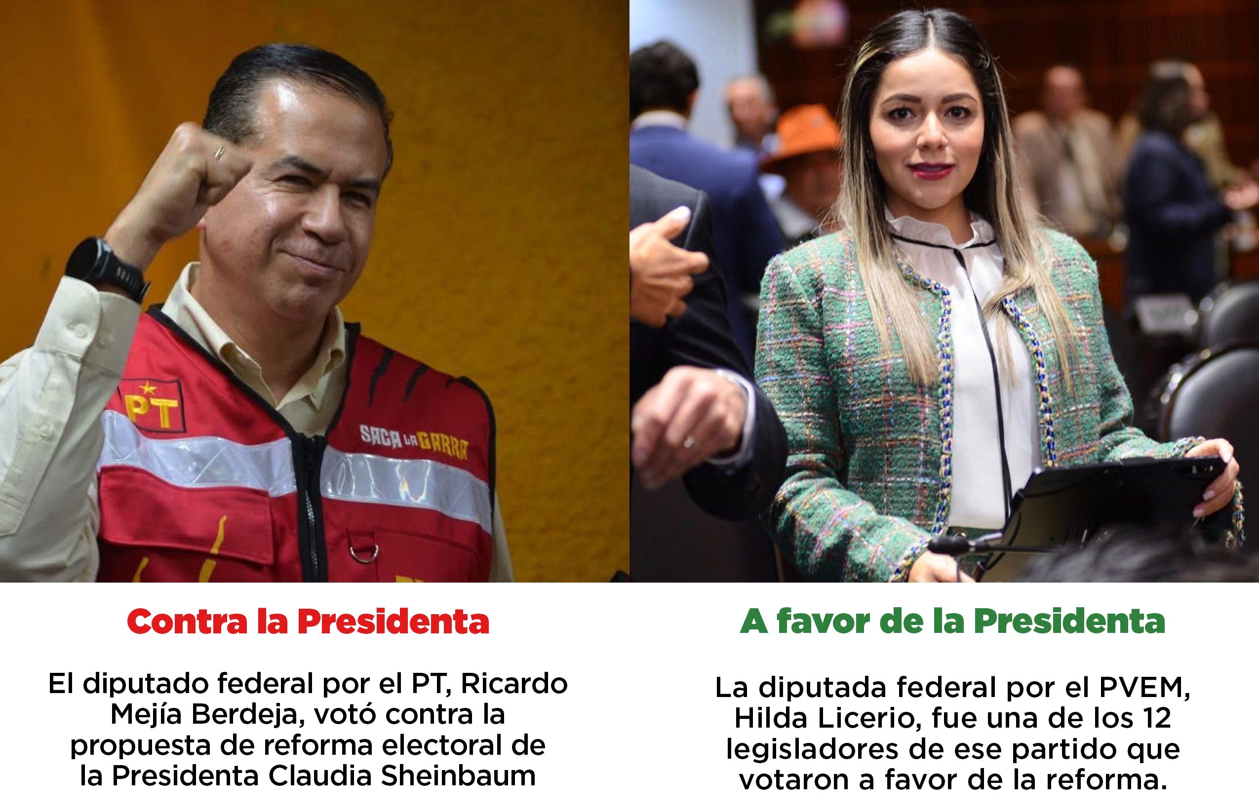 Así votaron…
