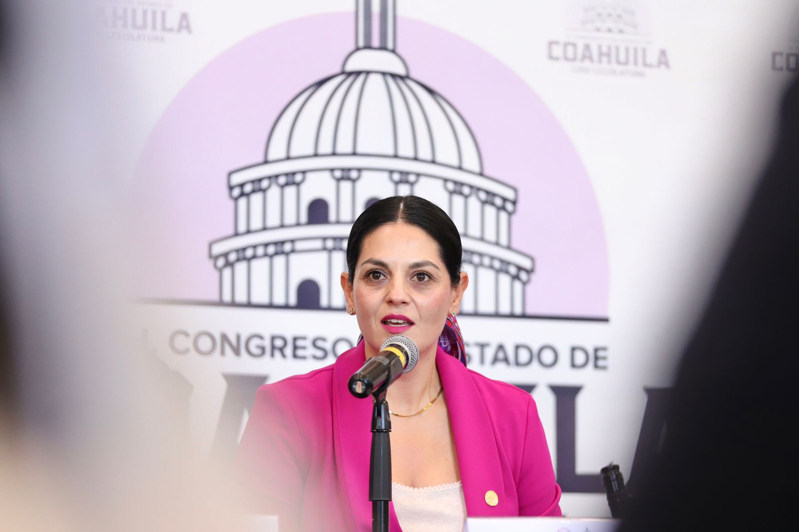 Busca Congreso blindar patrimonio de mujeres tras divorcio