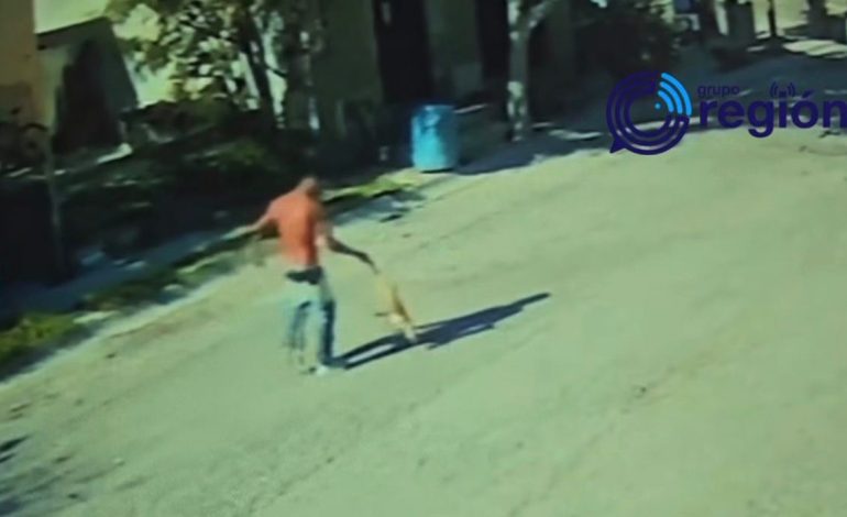 Procesan a sujeto por ataque a policías y muerte de perro