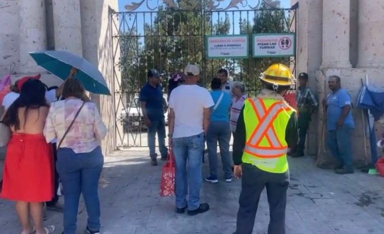 Deja ataque de abejas 10 lesionados en panteón