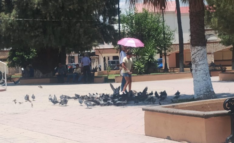 Esperan más de 40 grados en la Carbonífera