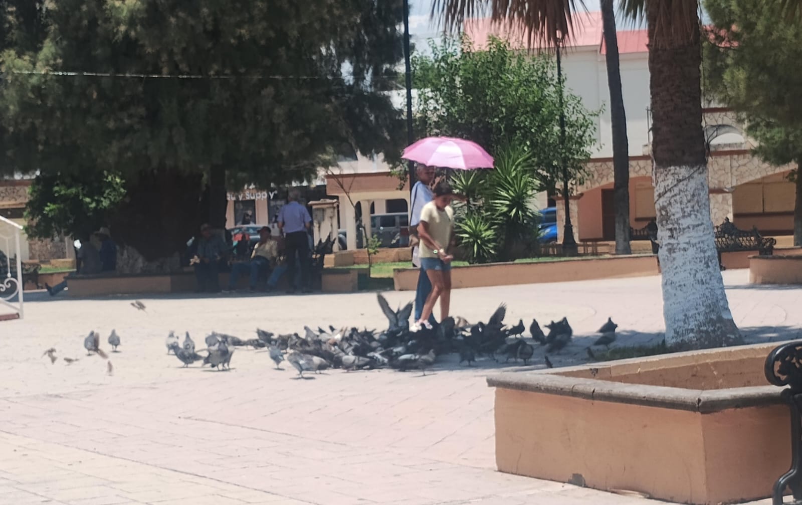 Esperan más de 40 grados en la Carbonífera