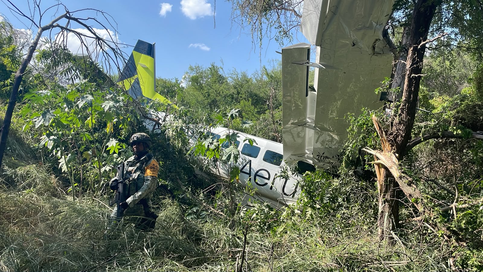 Se desploma avioneta que despegó de PN
