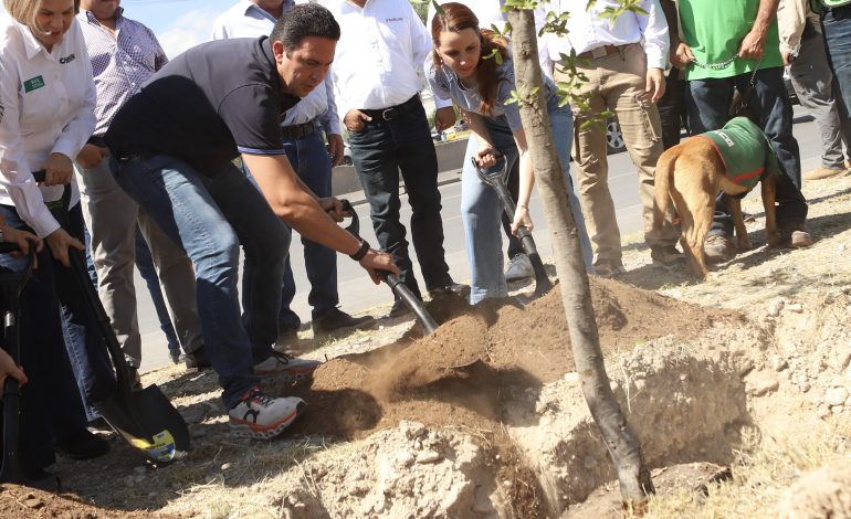 Plantan más de 100 mil árboles en los 38 municipios con la campaña “Verde Verde Coahuila”