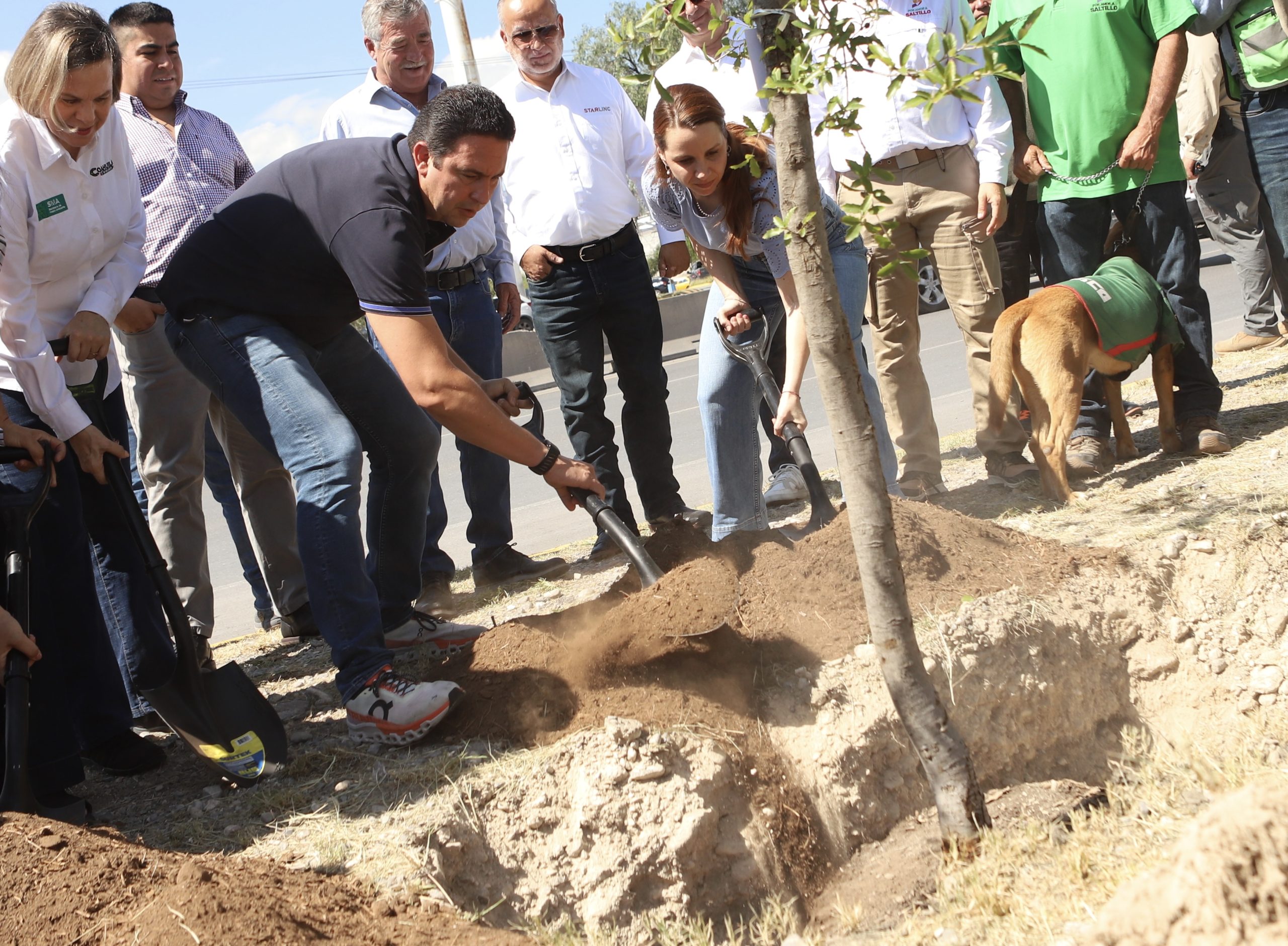 Plantan más de 100 mil árboles en los 38 municipios con la campaña “Verde Verde Coahuila”