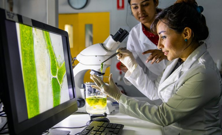Mujeres coahuilenses, lideran en ciencia y tecnología