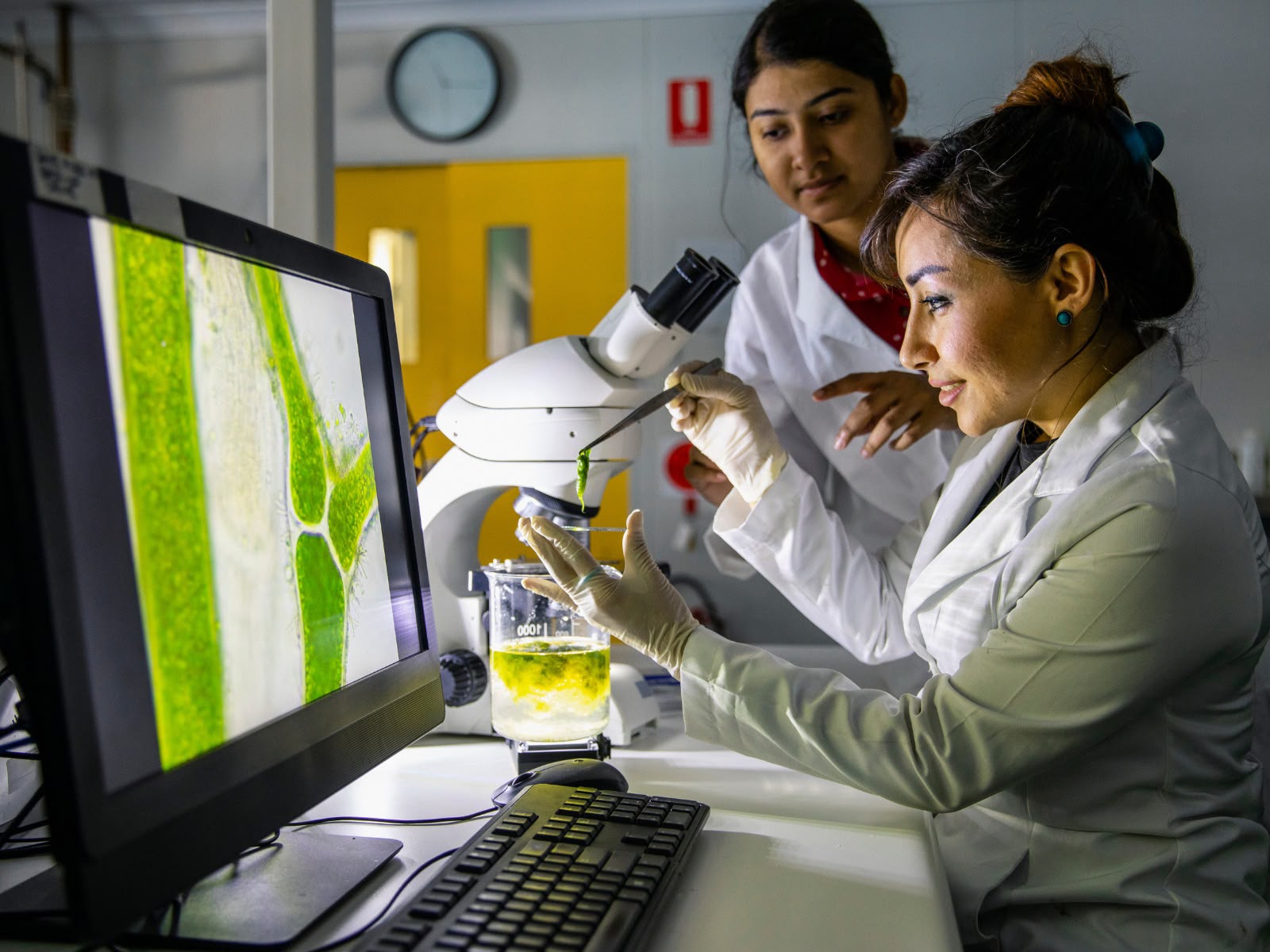 Mujeres coahuilenses, lideran en ciencia y tecnología