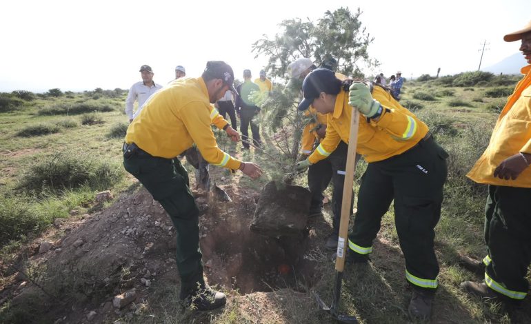 Fortalece Coahuila acciones para la restauración y protección de sus ecosistemas