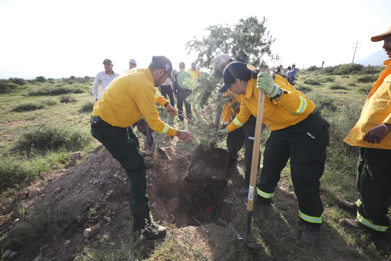Fortalece Coahuila acciones para la restauración y protección de sus ecosistemas