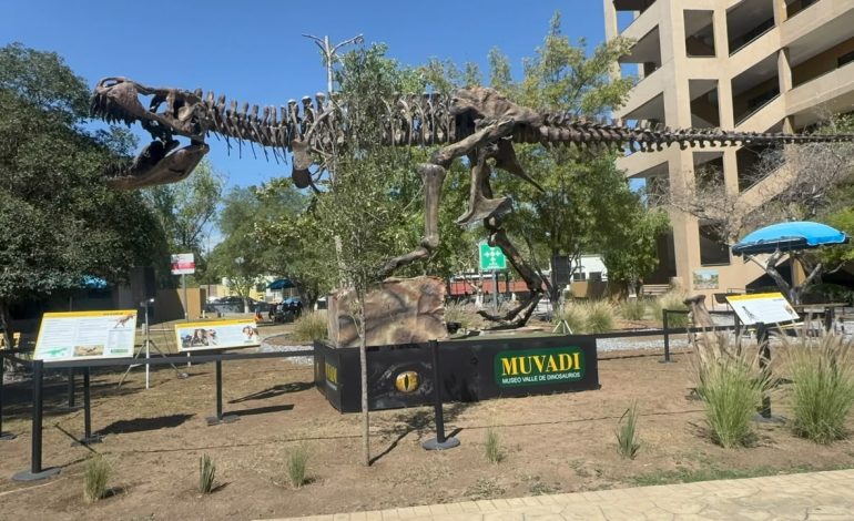 Llega T-Rex de 15 metros a Saltillo