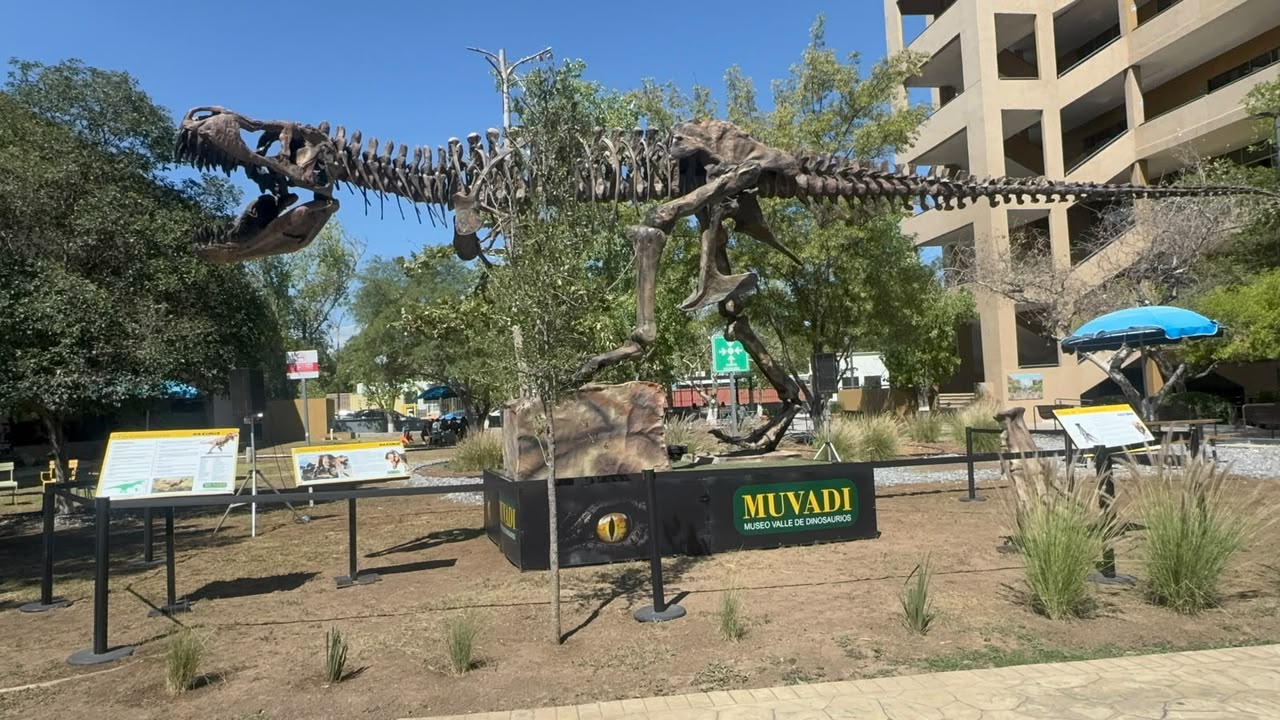 Llega T-Rex de 15 metros a Saltillo