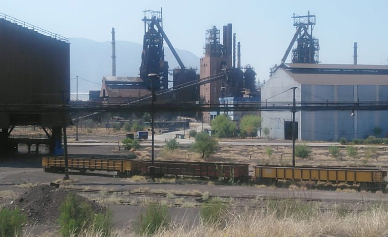 Vence plazo esta semana para CIESA; Cargill y Afirme van por AHMSA