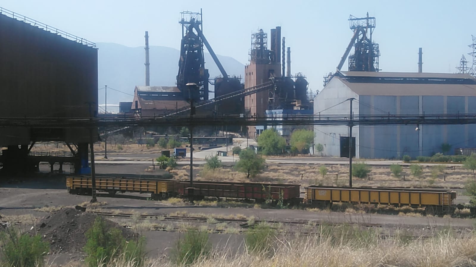 Vence plazo esta semana para CIESA; Cargill y Afirme van por AHMSA
